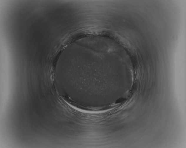 X0000114391202200910231010
