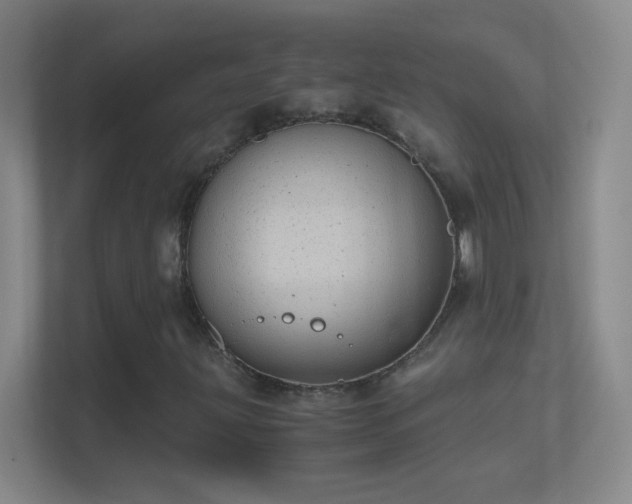 X0000114391203200910231010