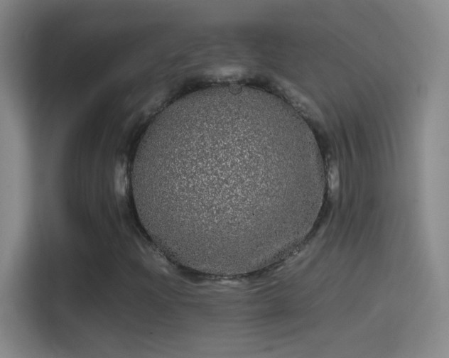 X0000114391204200910231010