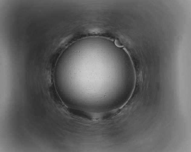 X0000114391205200910231010