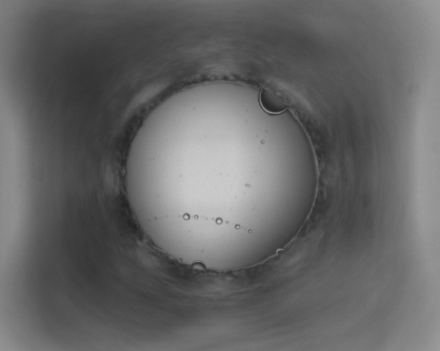 X0000114391207200910231010