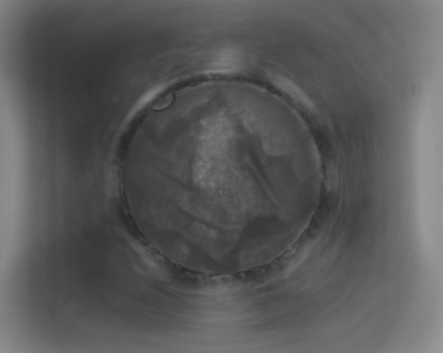 X0000114391208200910231010