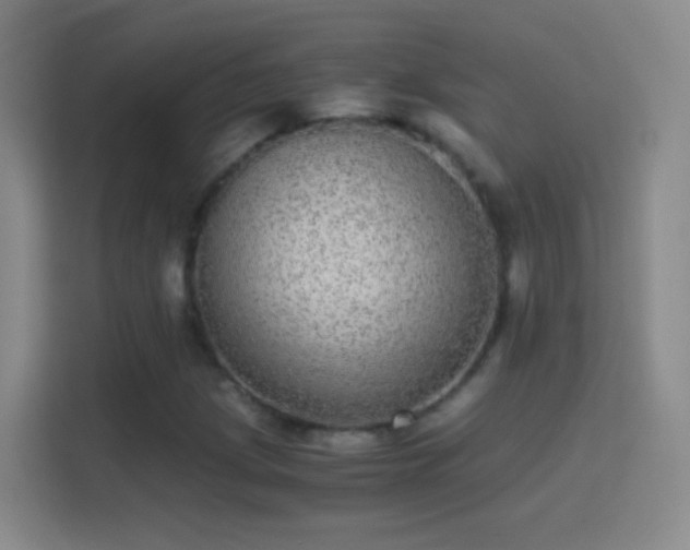 X0000114391209200910231010