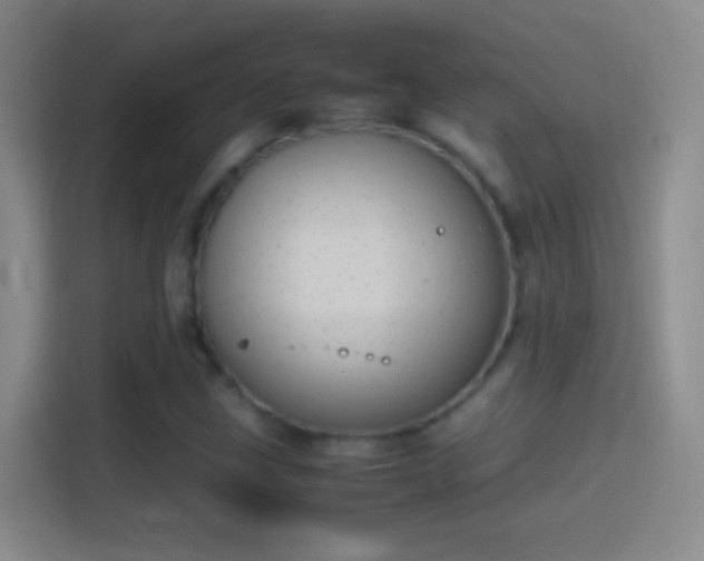 X0000114391211200910231010