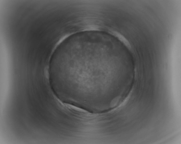 X0000114391212200910231010