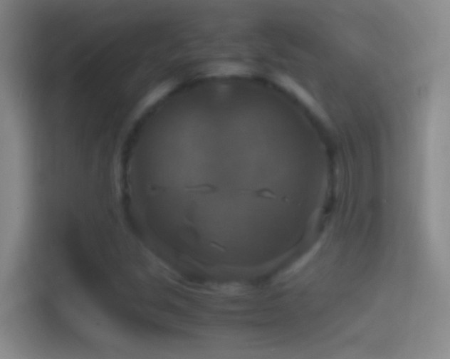 X0000114391213200910231010