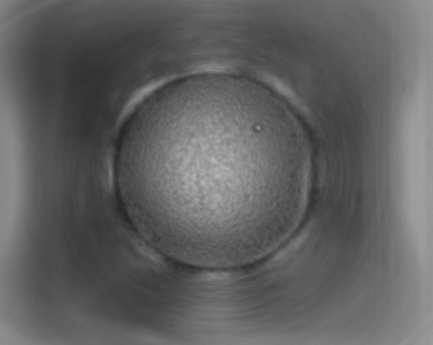 X0000114391214200910231010