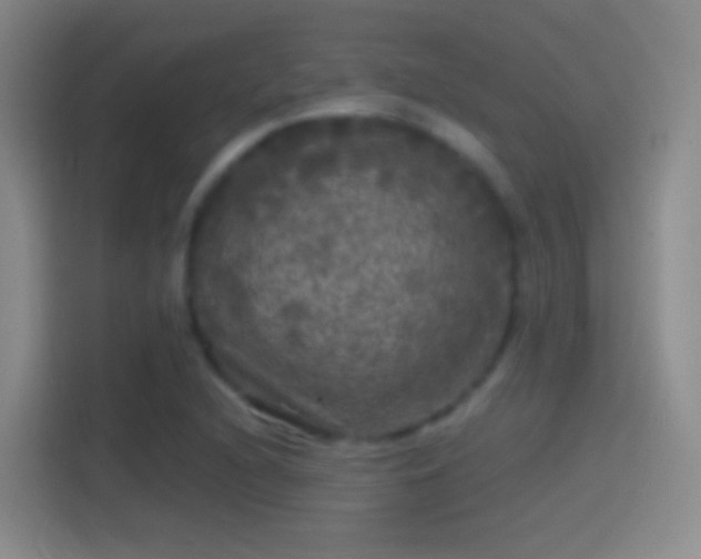 X0000114391216200910231010