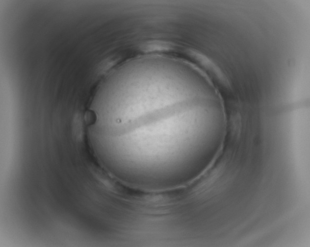 X0000114391217200910231010