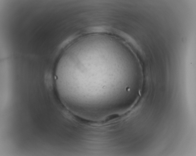 X0000114391218200910231010