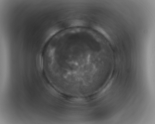 X0000114391219200910231010