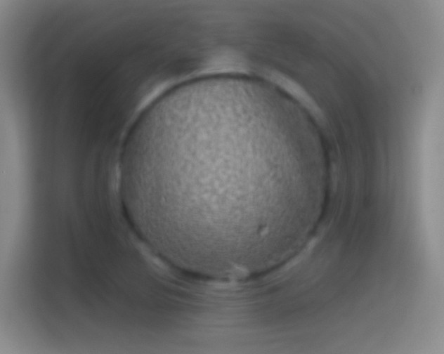 X0000114391220200910231010