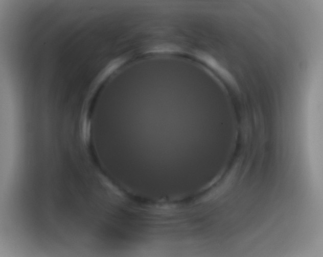 X0000114391221200910231010