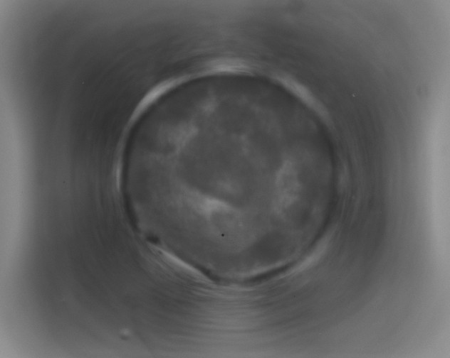 X0000114391222200910231010