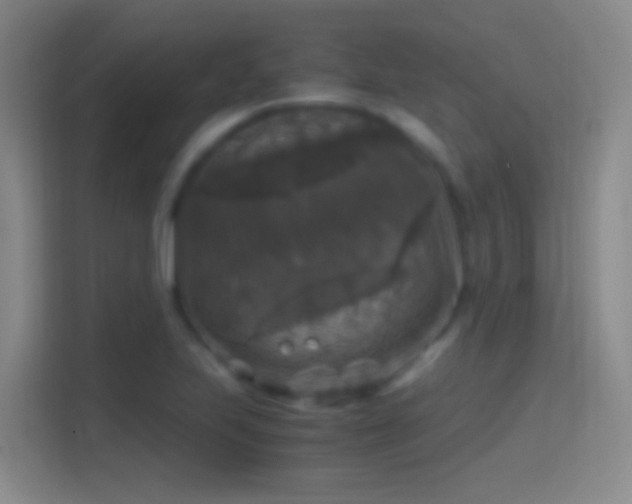 X0000114391223200910231010