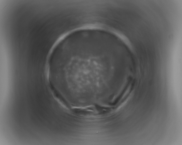 X0000114391224200910231010