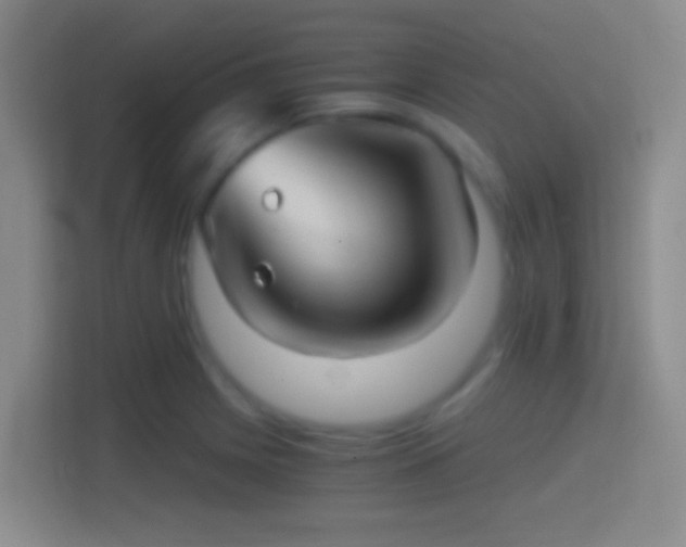 X0000114391225200910231010