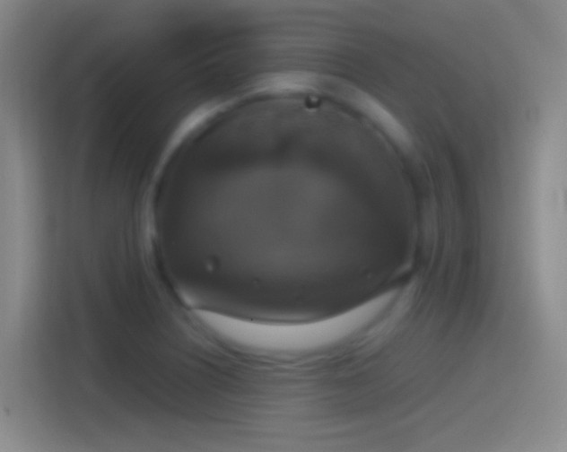 X0000114391226200910231010