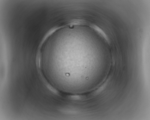 X0000114391227200910231010