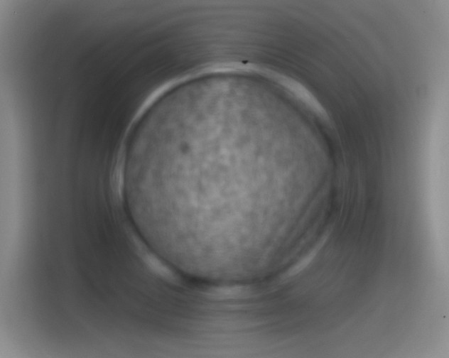 X0000114391228200910231010