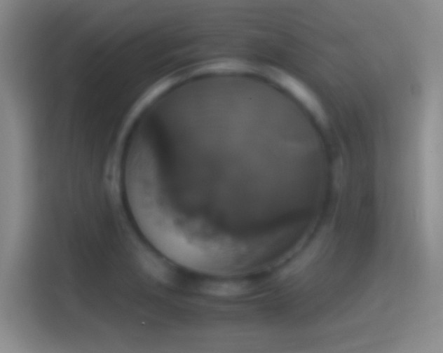 X0000114391229200910231010