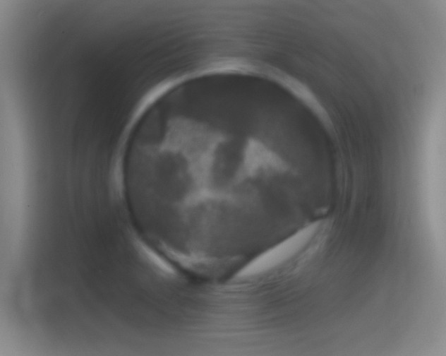 X0000114391230200910231010