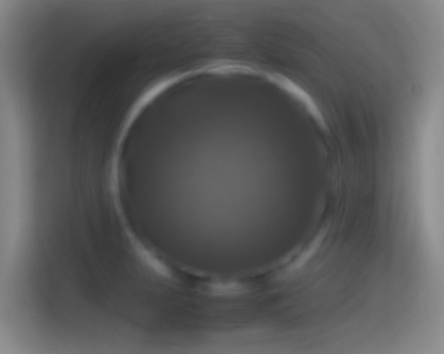 X0000114391231200910231010