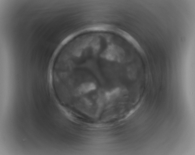 X0000114391232200910231010