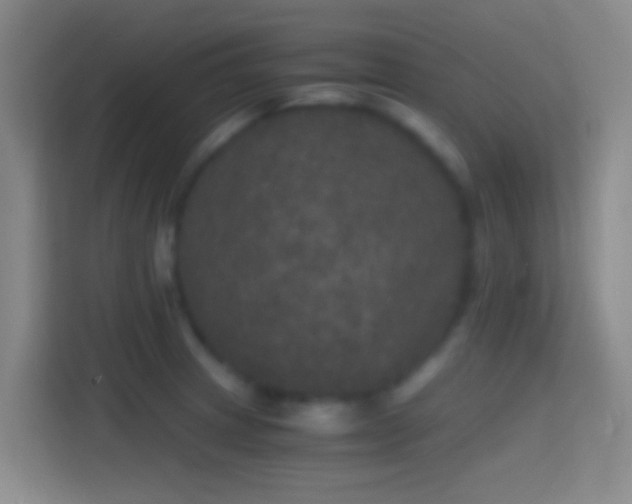 X0000114391233200910231010