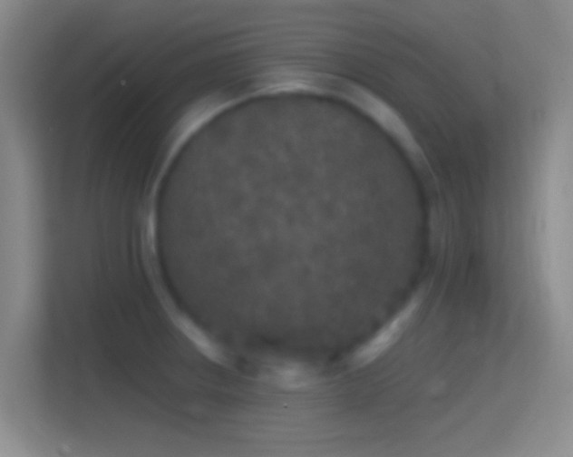 X0000114391234200910231010