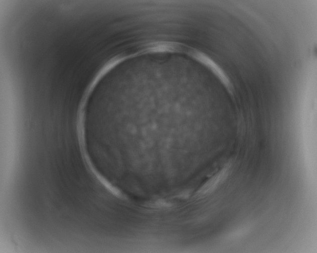X0000114391235200910231010