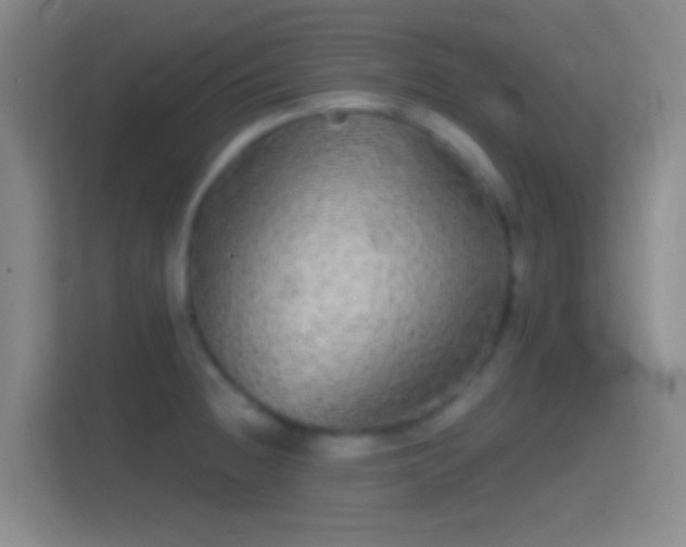 X0000114391236200910231010