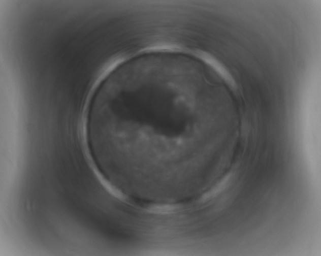 X0000114391237200910231010