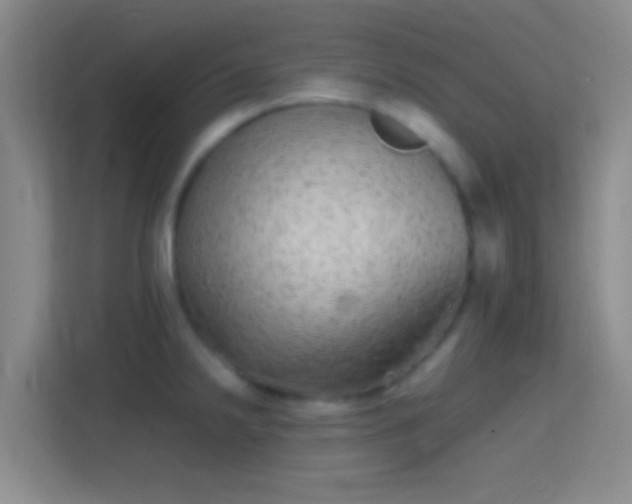 X0000114391238200910231010