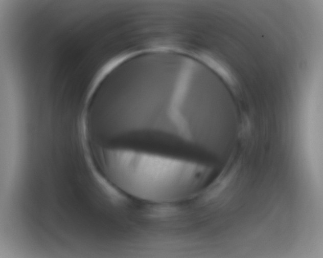 X0000114391239200910231010