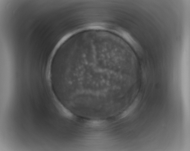 X0000114391240200910231010