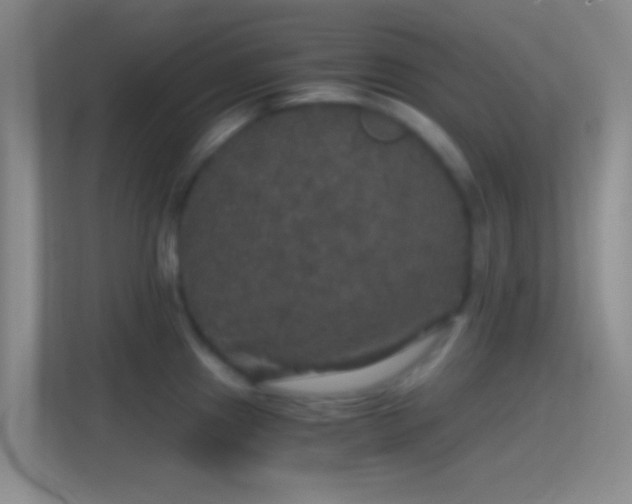 X0000114391241200910231010