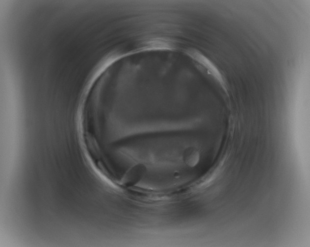X0000114391243200910231010