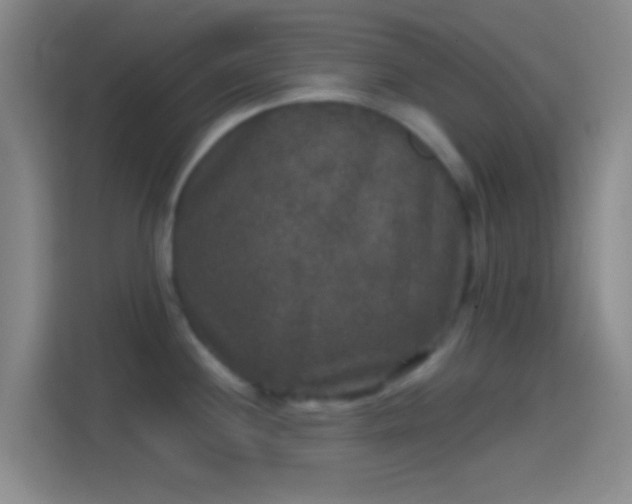 X0000114391244200910231010