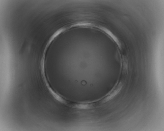 X0000114391245200910231010