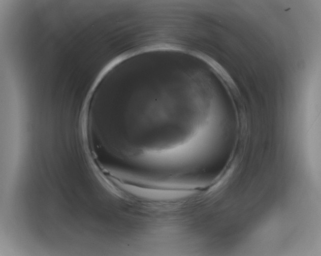 X0000114391246200910231010