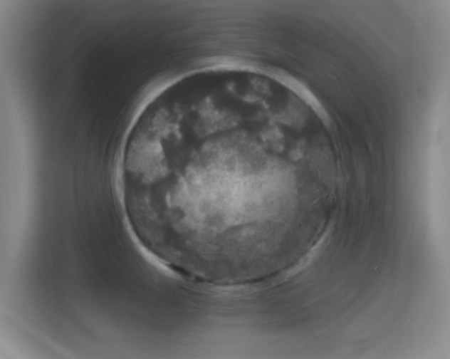 X0000114391247200910231010