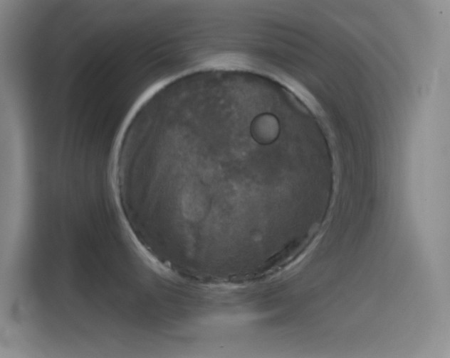 X0000114391248200910231010
