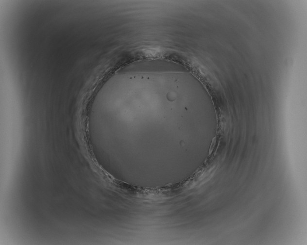 X0000114391249200910231010