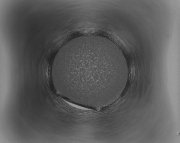 X0000114391250200910231010
