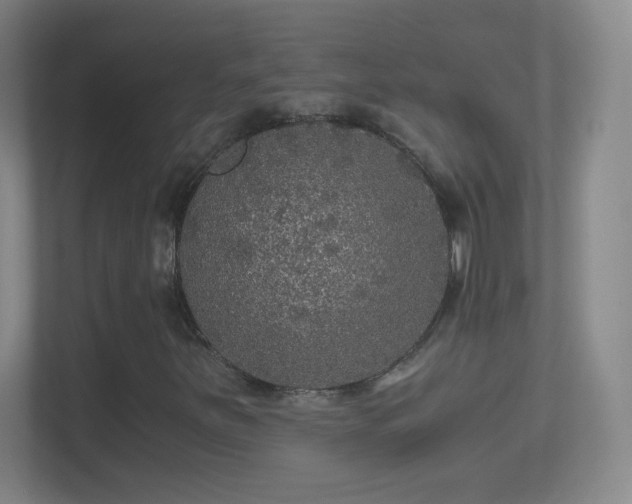 X0000114391251200910231010