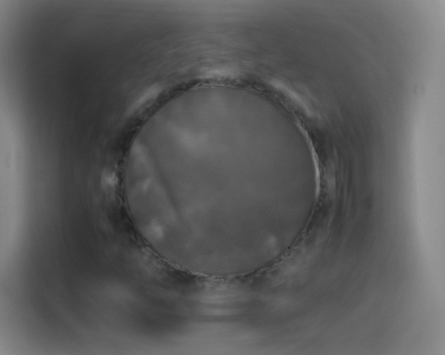 X0000114391254200910231009
