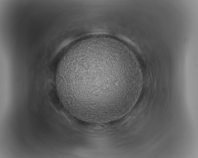 X0000114391255200910231009