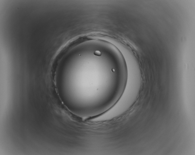 X0000114391256200910231009