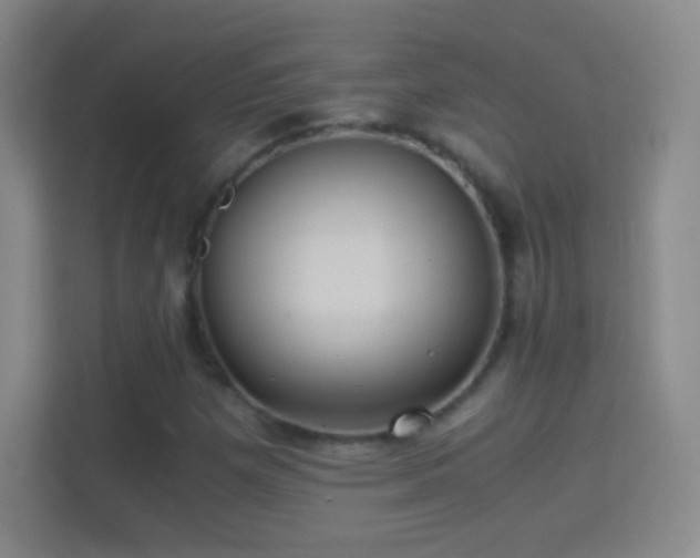 X0000114391257200910231009